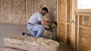 Best Crawl Space Insulation  in Vineland, NJ