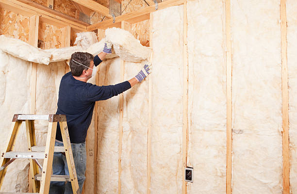 Best Soundproof Insulation  in Vineland, NJ